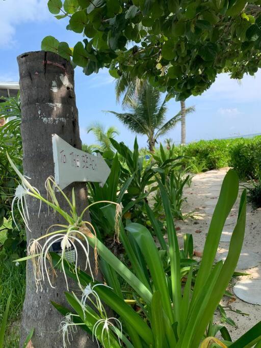 Beach'Nbarefoot Nassau Kültér fotó