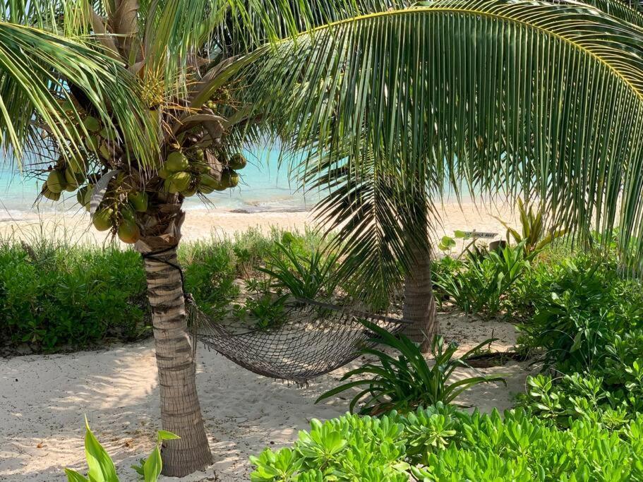 Beach'Nbarefoot Nassau Kültér fotó
